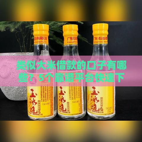 类似大米借款的口子有哪些？5个靠谱平台快速下款攻略