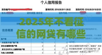 2025年不看征信的网贷有哪些？急用钱必看最新汇总