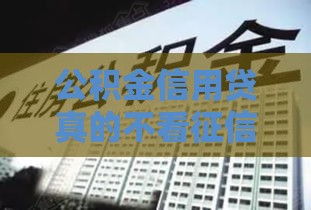 公积金信用贷真的不看征信？这些内幕你必须知道！