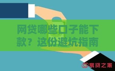 网贷哪些口子能下款？这份避坑指南收好了
