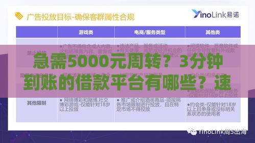 急需5000元周转？3分钟到账的借款平台有哪些？速看避坑指南！