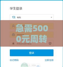 急需5000元周转？3分钟到账的借款平台有哪些？速看避坑指南！