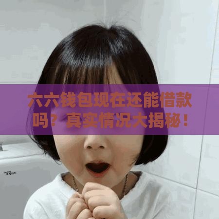 六六钱包现在还能借款吗？真实情况大揭秘！