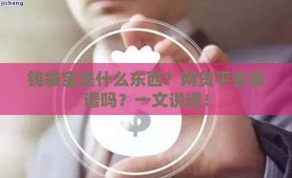 钱袋宝是什么东西？网贷平台靠谱吗？一文说透！