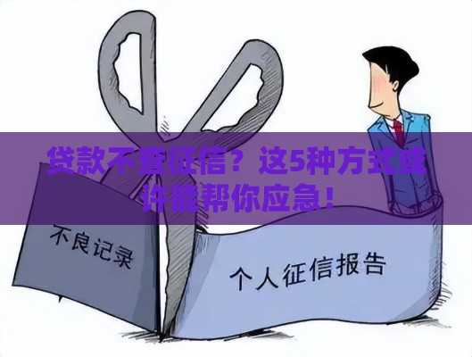 贷款不查征信？这5种方式或许能帮你应急！