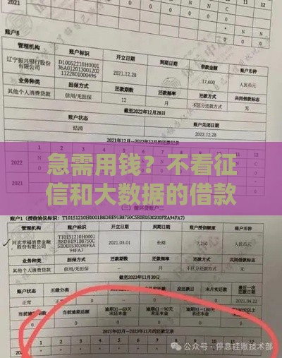 急需用钱？不看征信和大数据的借款渠道，这几个或许能帮到你！