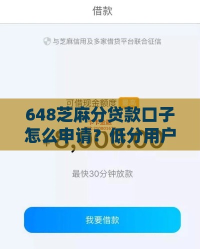 648芝麻分贷款口子怎么申请？低分用户必看下款技巧