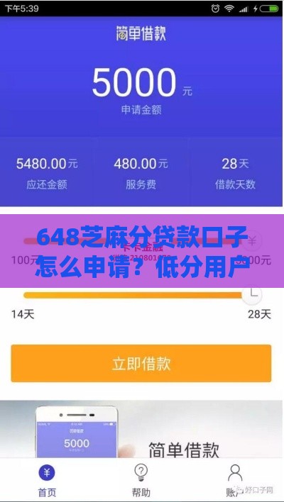 648芝麻分贷款口子怎么申请？低分用户必看下款技巧