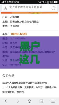 黑户这几个小额借款平台靠谱吗？