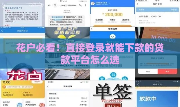 花户必看!直接登录就能下款的贷款平台怎么选 花户必看!直接登录就能下款的贷款平台怎么选