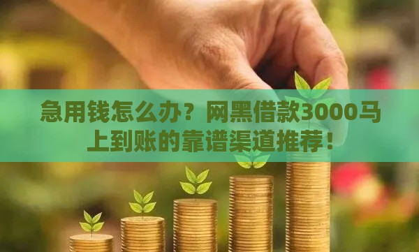 急用钱怎么办？网黑借款3000马上到账的靠谱渠道推荐！