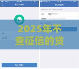2025年不查征信的贷款平台有哪些？这10个正规平台下款超快！