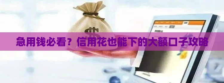 急用钱必看？信用花也能下的大额口子攻略