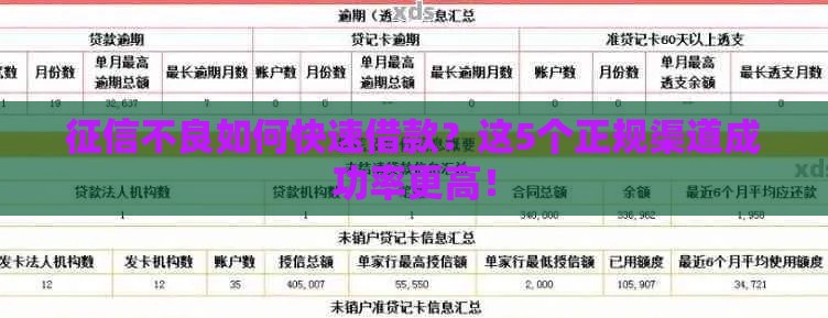 征信不良如何快速借款？这5个正规渠道成功率更高！