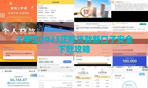 大学生2023正规贷款新口子安全下款攻略