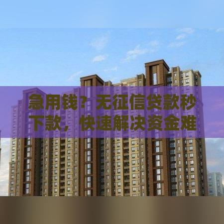 急用钱？无征信贷款秒下款，快速解决资金难题！