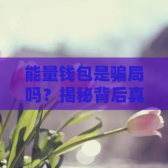 能量钱包是骗局吗？揭秘背后真相，贷款用户必看！