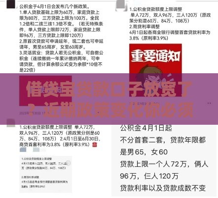 借贷宝贷款口子放宽了？近期政策变化你必须知道！