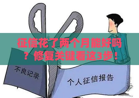征信花了两个月能好吗？修复关键看这3步！