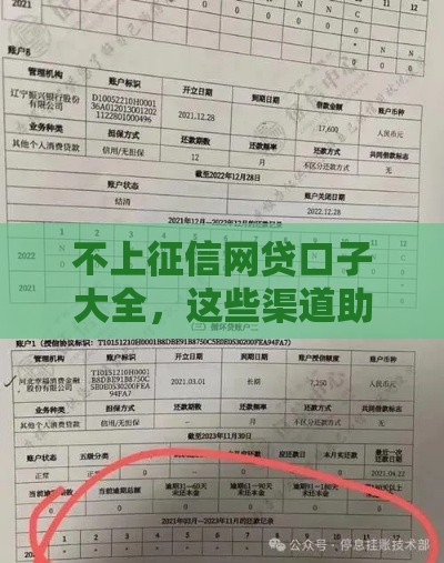 不上征信网贷口子大全，这些渠道助你秒批到账
