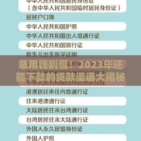 急用钱别慌！2023年还能下款的贷款渠道大揭秘