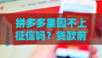 拼多多果园不上征信吗？贷款前必看这3点