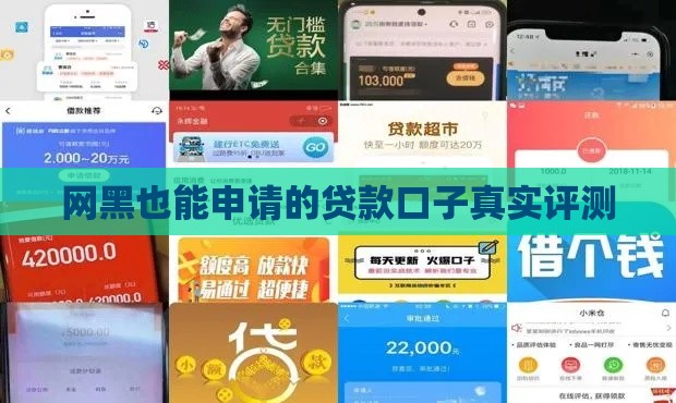 网黑也能申请的贷款口子真实评测
