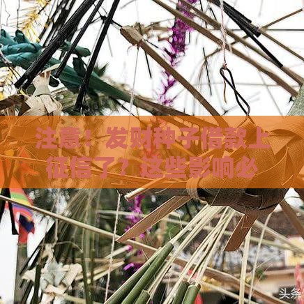 注意！发财种子借款上征信了？这些影响必须提前了解