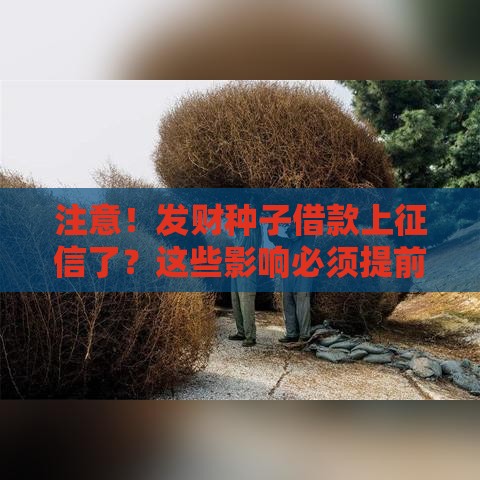 注意！发财种子借款上征信了？这些影响必须提前了解