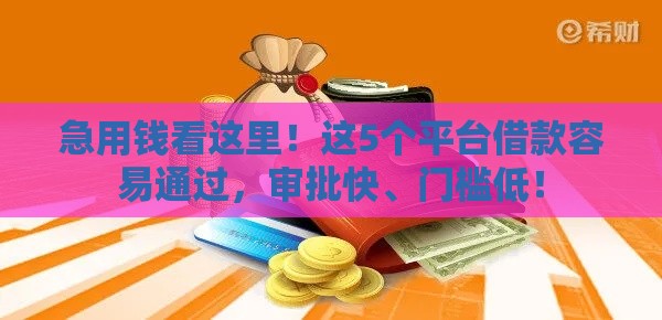 急用钱看这里！这5个平台借款容易通过，审批快、门槛低！