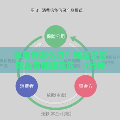 急用钱怎么办？唯品会借款业务便捷高效，3分钟到账太省心！