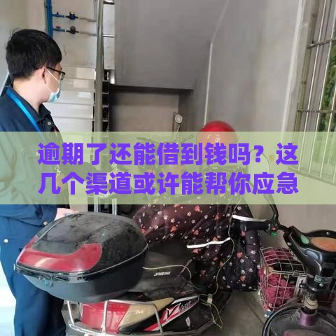 逾期了还能借到钱吗？这几个渠道或许能帮你应急！