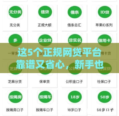 这5个正规网贷平台靠谱又省心，新手也能轻松申请