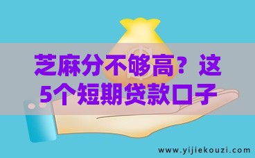 芝麻分不够高？这5个短期贷款口子下款快、门槛低
