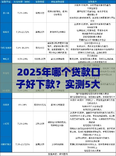 2025年哪个贷款口子好下款？实测5大渠道通过率