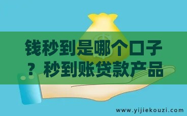 钱秒到是哪个口子？秒到账贷款产品解析