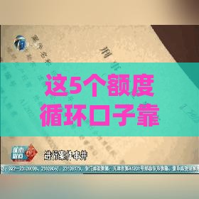 这5个额度循环口子靠谱又灵活，轻松解决资金周转难题
