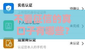 不看征信的真口子有哪些？这5个渠道靠谱推荐！