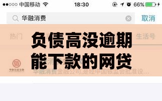 负债高没逾期能下款的网贷平台有哪些？这些渠道通过率高