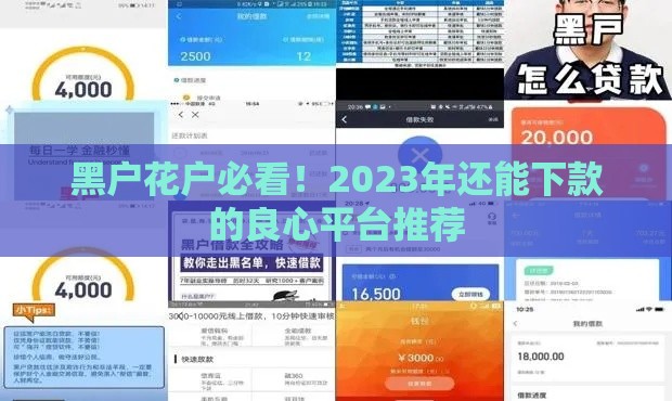 黑户花户必看！2023年还能下款的良心平台推荐
