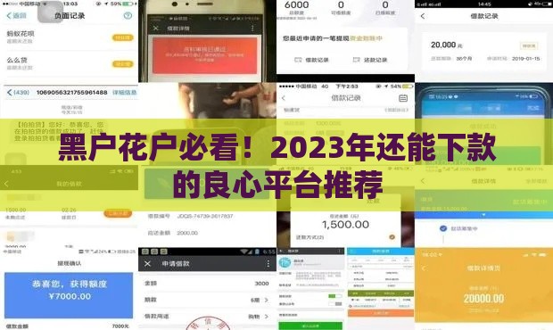 黑户花户必看！2023年还能下款的良心平台推荐