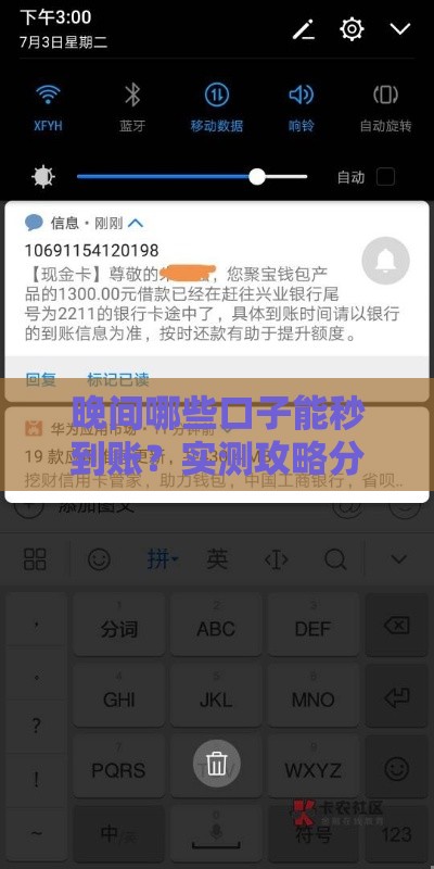 晚间哪些口子能秒到账？实测攻略分享