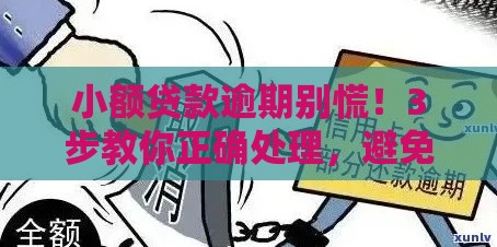 小额贷款逾期别慌！3步教你正确处理，避免影响征信