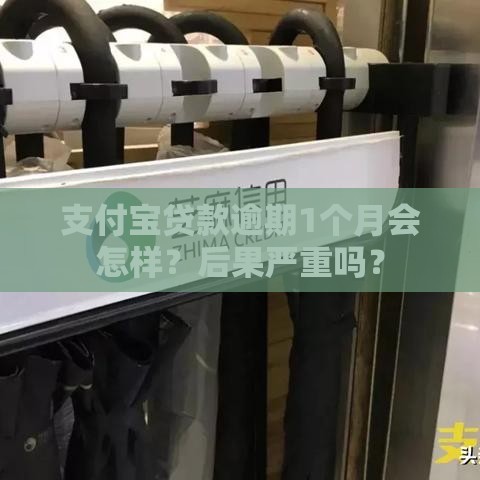 支付宝贷款逾期1个月会怎样？后果严重吗？