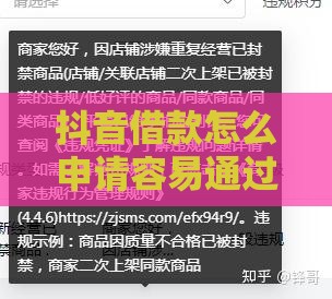 抖音借款怎么申请容易通过？手把手教你避开这些坑！