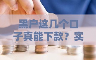 黑户这几个口子真能下款？实测分享避坑指南
