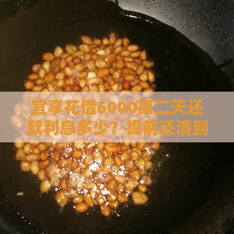 宜享花借6000第二天还款利息多少？提前还清到底划不划算