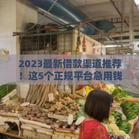 2023最新借款渠道推荐！这5个正规平台急用钱必看