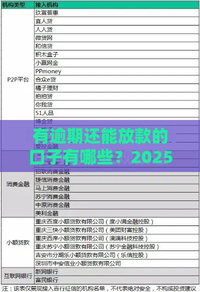 有逾期还能放款的口子有哪些？2025年最新8家平台盘点