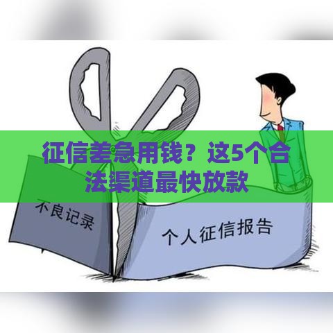 征信差急用钱？这5个合法渠道最快放款